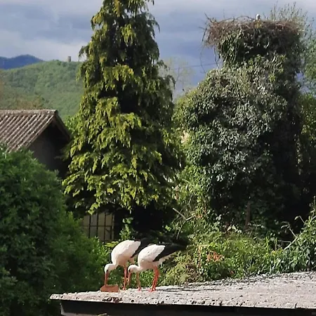 Holiday home Les Glycines 68230 *
