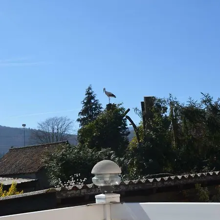 Les Glycines 68230 Holiday home